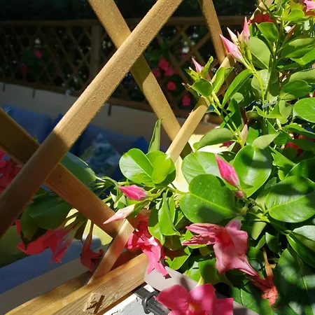 Apartment Versilia Forte dei Marmi
